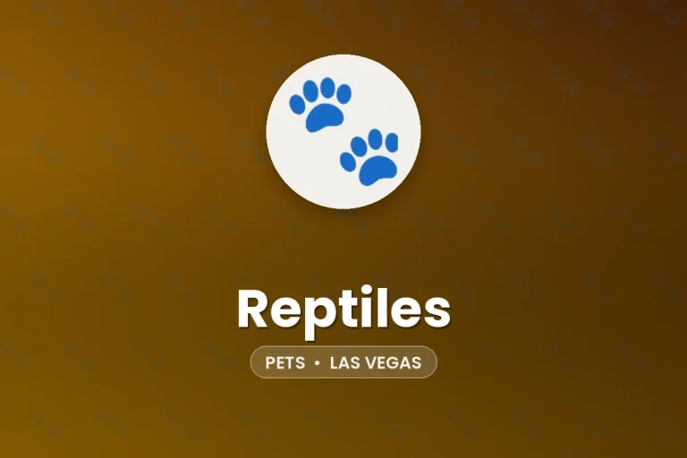 Reptiles – Las Vegas